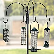 Bird Feeding Station