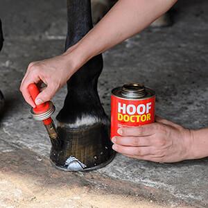 Hoof Doctor how to apply