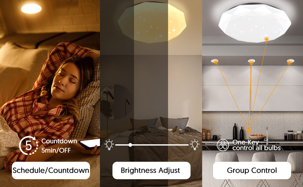 avatar controls alexa ceiling lights with remote