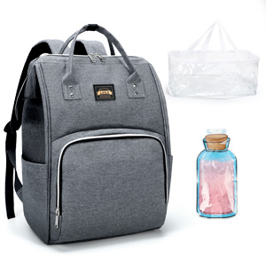 laptop lunch backpack