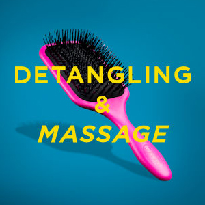 Denman Detangling & Massage