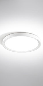 LED Ceiling Light