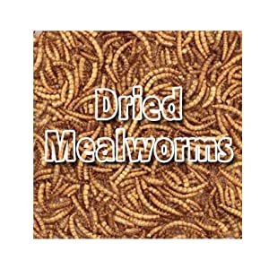 Dried Mealowrms