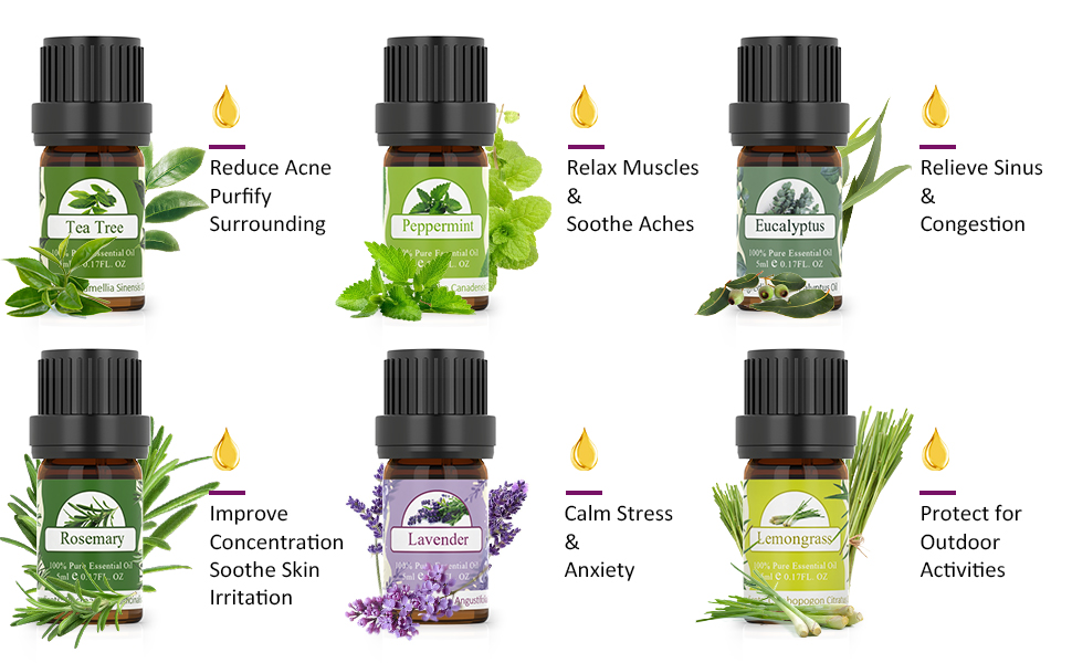 Brief introductions of ASAKUKI TOP12 Essential oils set