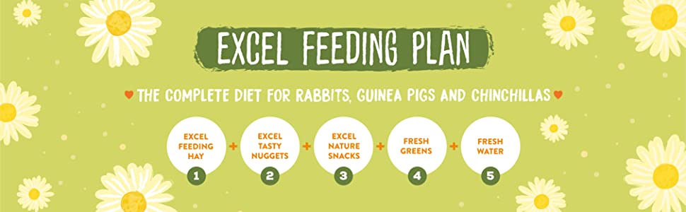 Burgess Excel Feeding Plan The Complete Diet For Rabbits