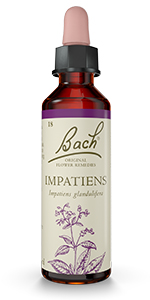 Bach Original Flower Remedies - Impatiens