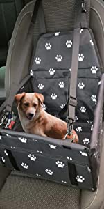 a+_Car_Seat_Dog