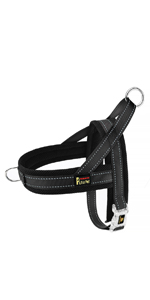 no pull dog harness