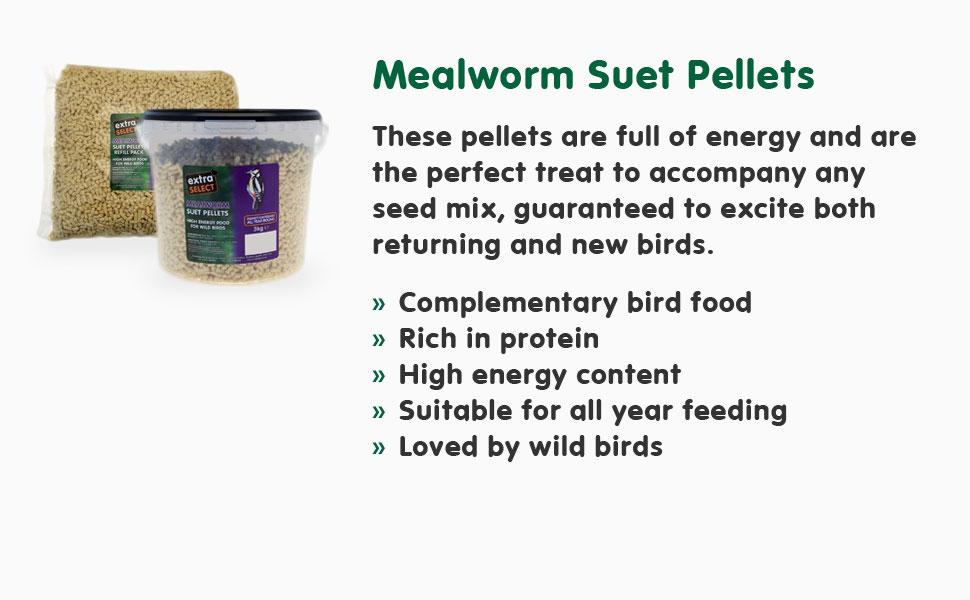 mealworm suet pellets