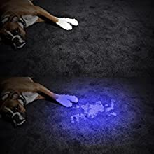 Pets Ultra Violet Stain Detector