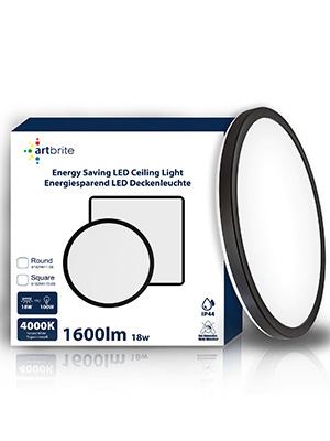 Package of LED ceiling light 