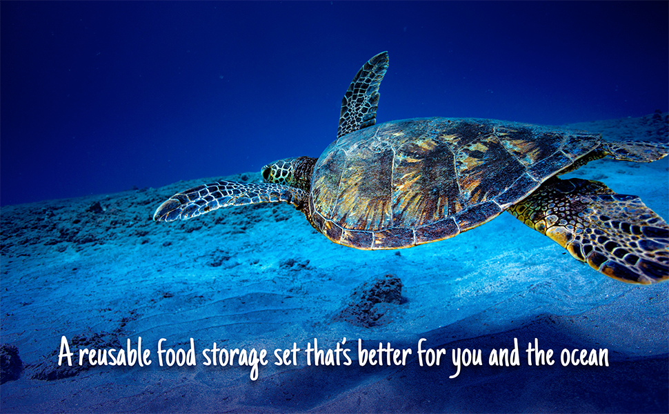 reusable food storage pack