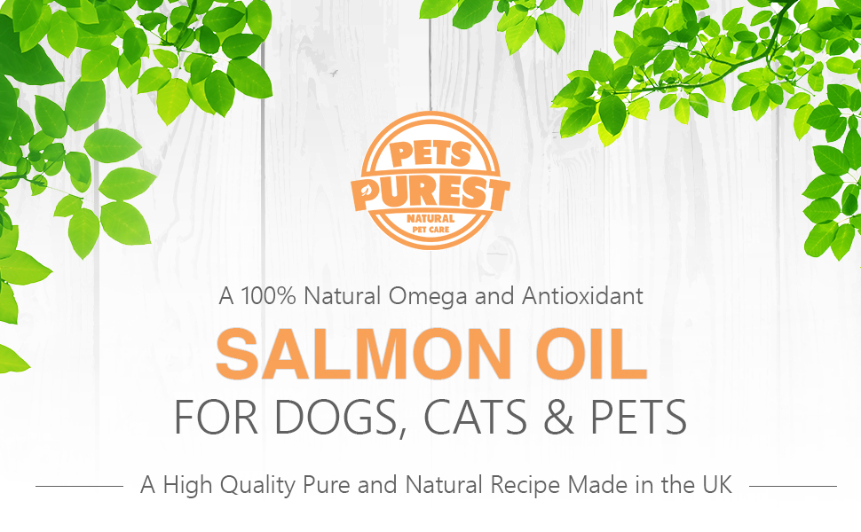 salmon oil for dogs cats horses ferrets pets natural omega antioxidants fish oil supplement treats