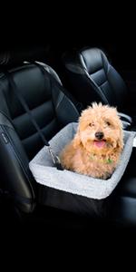 dog booster seat