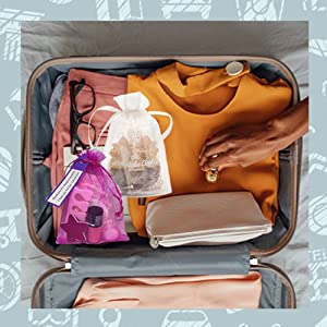 Organza luggage storage pouch