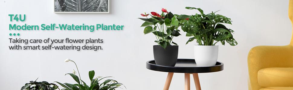 plant pots