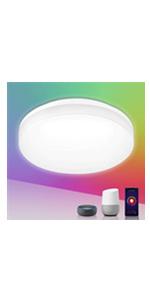 smart ceiling light