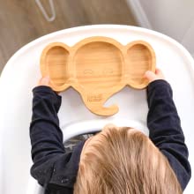 bamboo suction plate