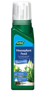 houseplant feed