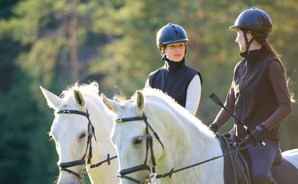 horse riding crop