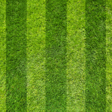 roller striped lawn