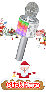 karaoke microphone