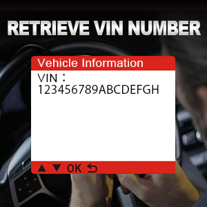 Retrieve Vehicle Information