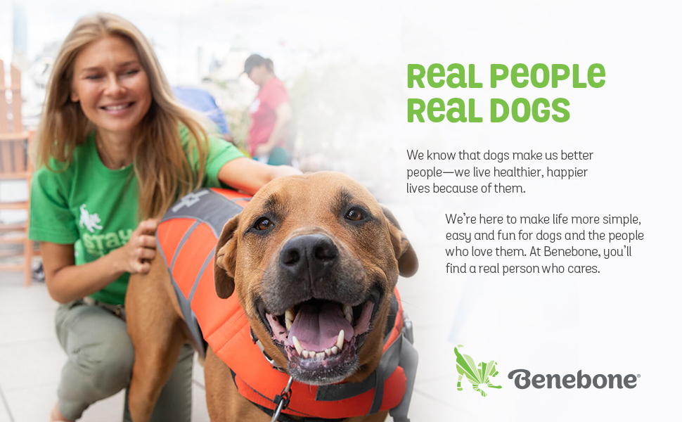 real people, real dogs