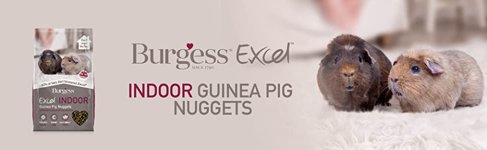Burgess Excel Indoor Guinea Pig Nuggets