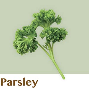 Parsley