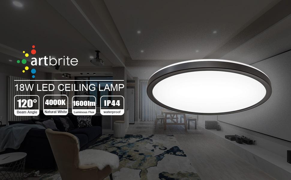 LED ceiling light