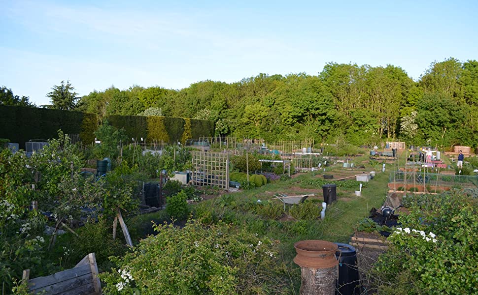 support green plant twine ties at work on an allotment. The plant ties clips string