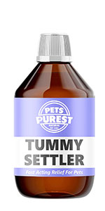 Tummy settler pets purest for pets 