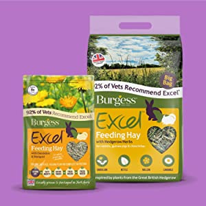 Burgess Excel Hay