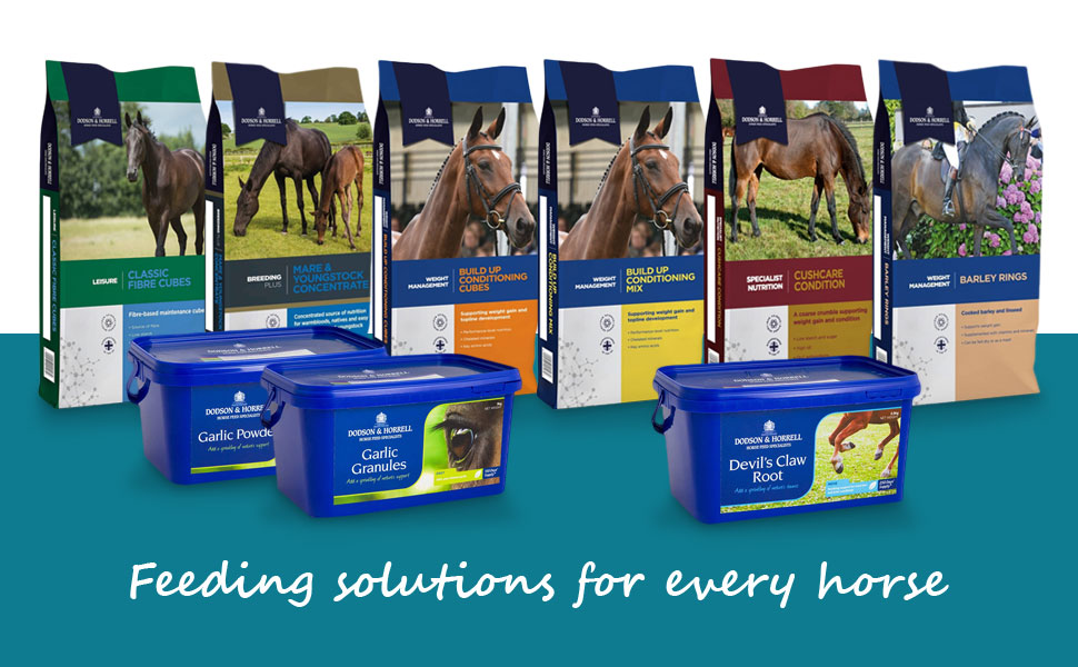 dodson and horrell feeding solutions