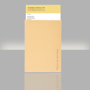  Self Seal Golden Brown Kraft Catalog Envelopes - Designed for Secure Mailing