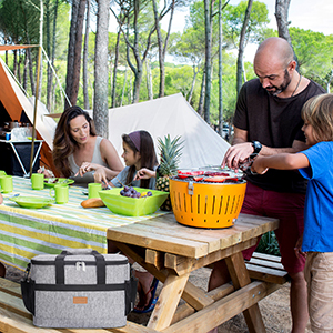 insulated cooler bag