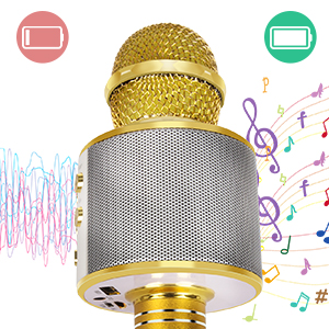 Karaoke Wireless Bluetooth