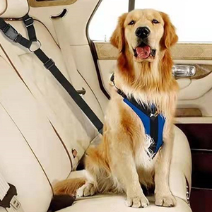 dog seatbelt for car