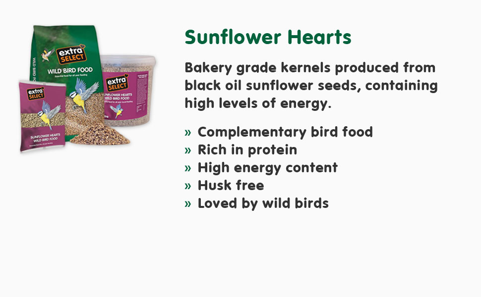 sunflower hearts wild bird food