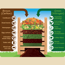 what to compost