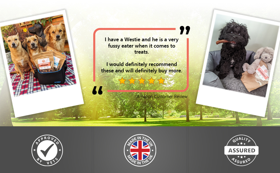 Dog Snacks Vet Approved Made in the UK Treats High Quality for Small Medium Large Dogs or Puppy 