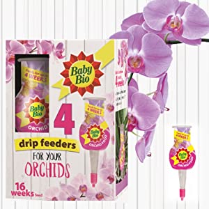 ORCHID DRIP FEEDER